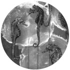 Things slowly curve out of sight until they are gone. Afterwards only the curve remains. – Curated by Élodie Royer & Yoann Gourmel