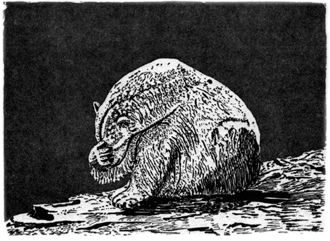 The Expression of the Emotions in Man and Animals – Iñaki Bonillas