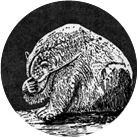 Iñaki Bonillas – The Expression of the Emotions in Man and Animals   